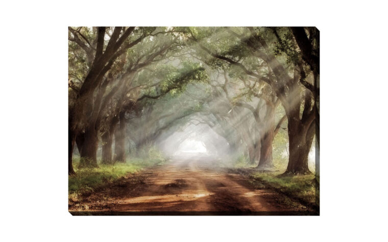 evergreen plantation is a traditional print of a pathway with trees over it and sunbeams streaming through the trees.