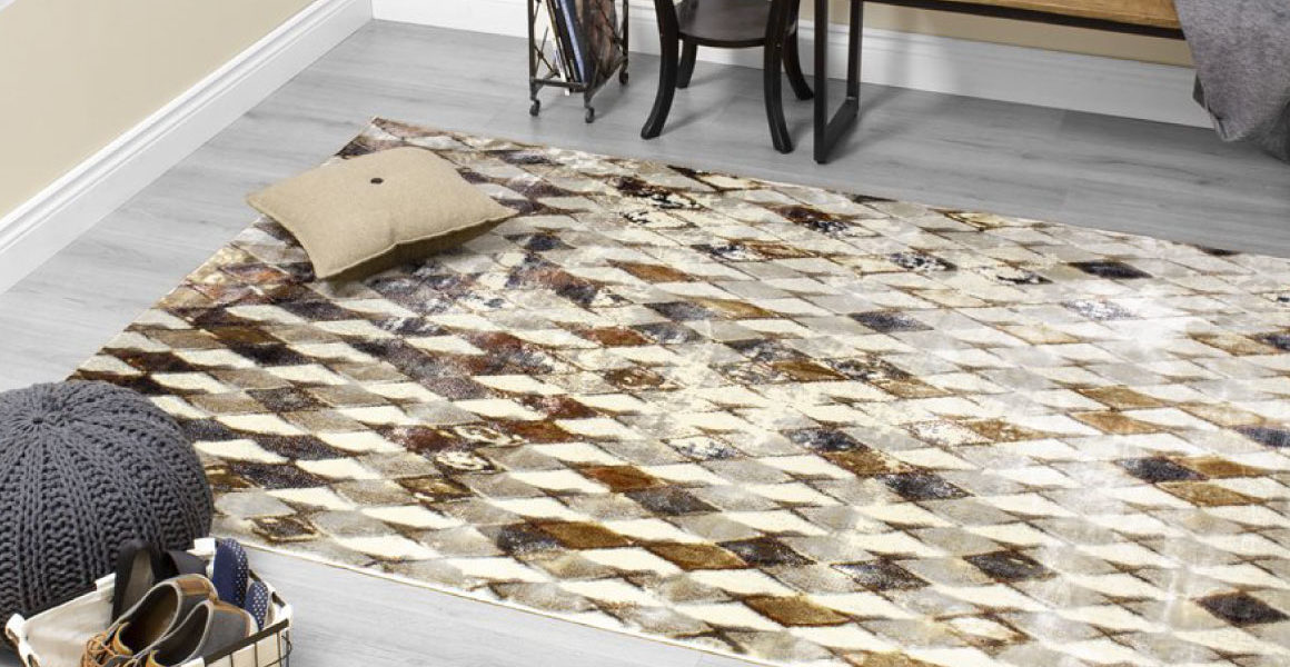 Sidra Area Rug room shot