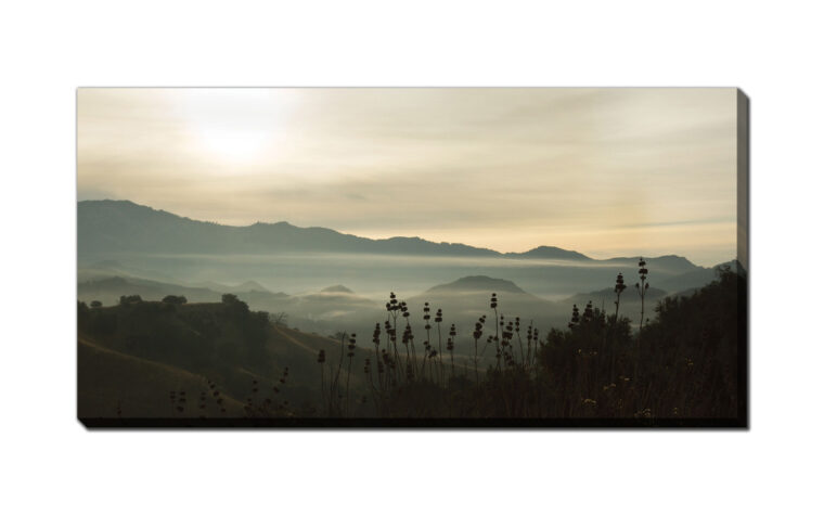 Fog-in-the-Mountains-Streamline-Art