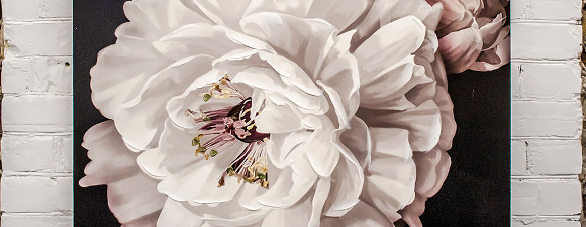 Streamline Art - canvas & wall art