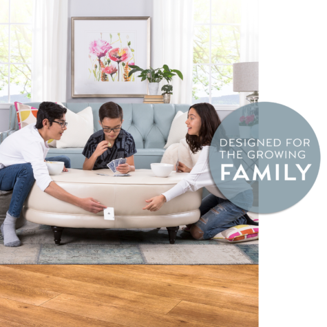 Living Room Furniture for the Family