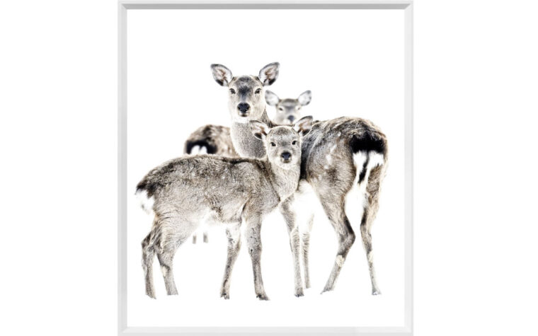 Small canvas of three deer