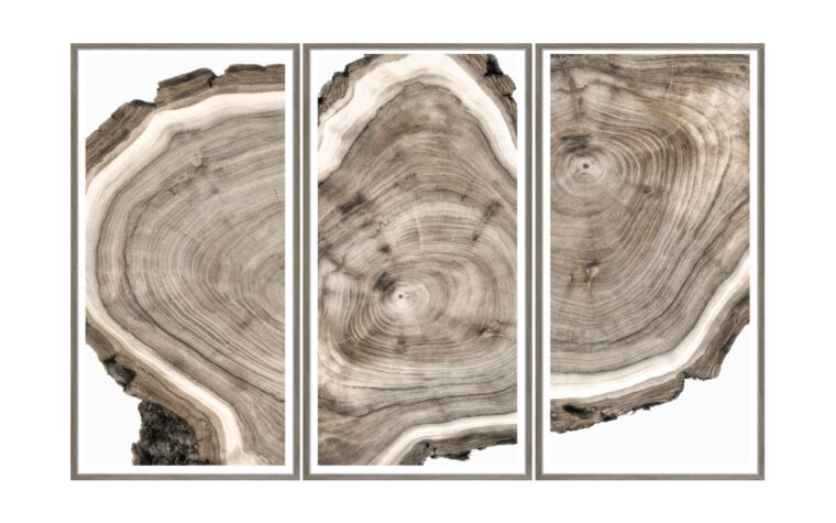Three individual portraits of live edge wood