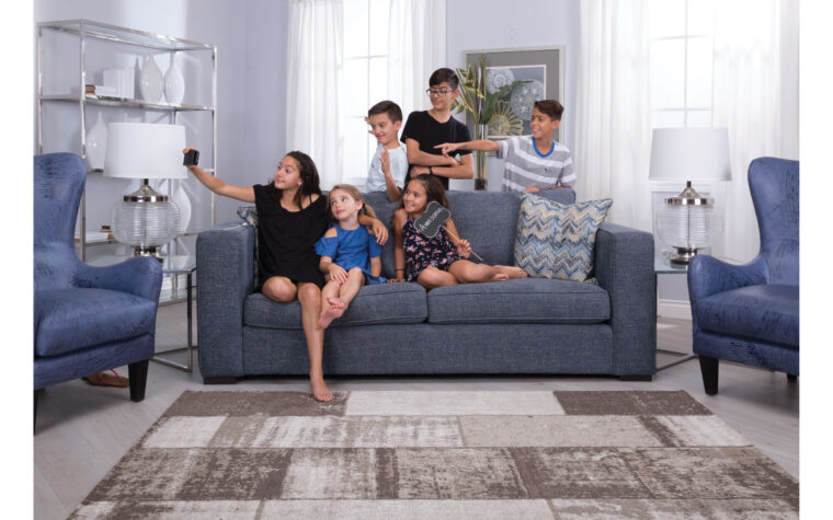 Blue modern sofa in living room