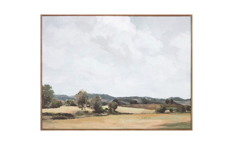 Vast Country Framed Painting by Moe's Home Collection